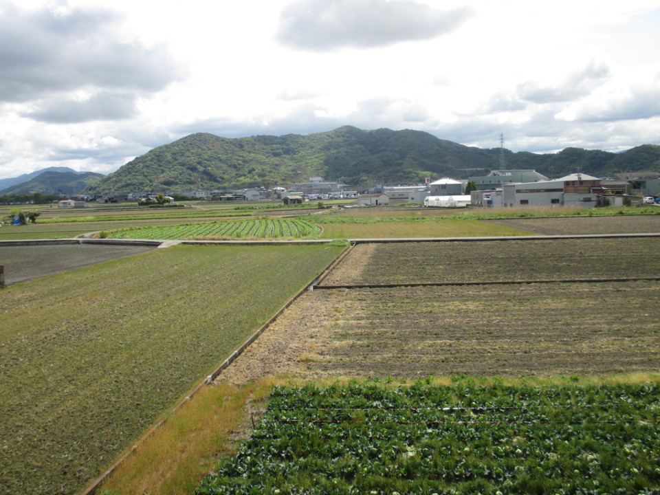 最高の景色