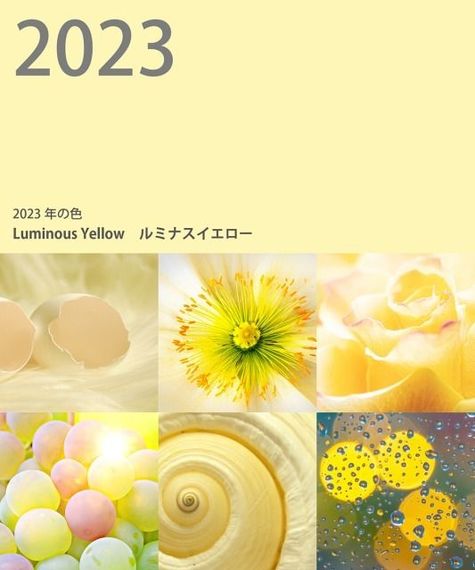 2023年の色